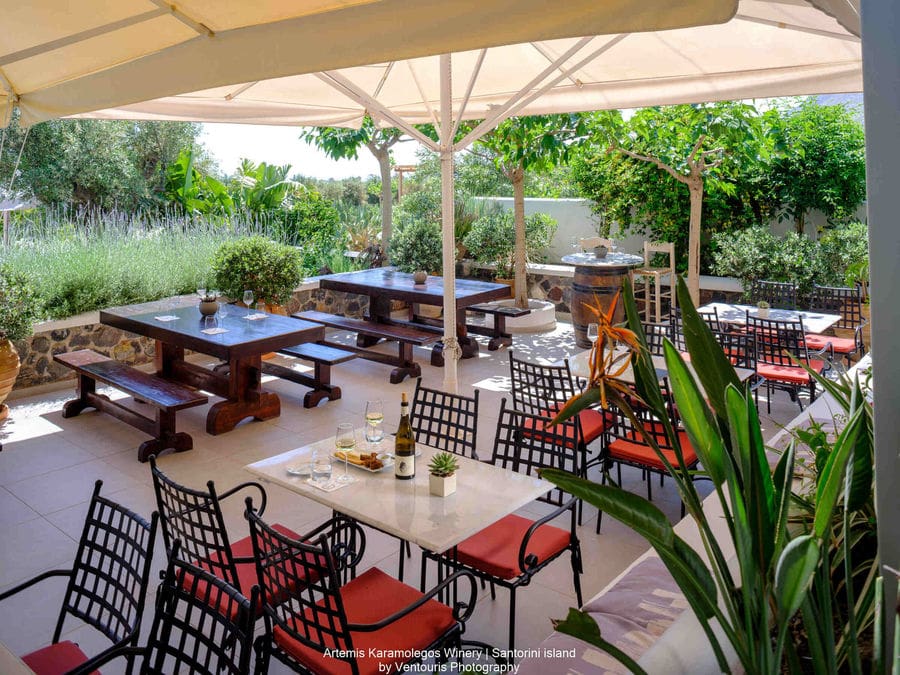 Winery_ArtemisKaramolegos2022_ (49)_Social (1).jpg